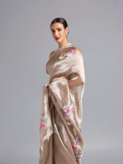 Beige Banarasi Handloom Pure Tissue Silk Silver Zari Hand Painted Contemporary Saree