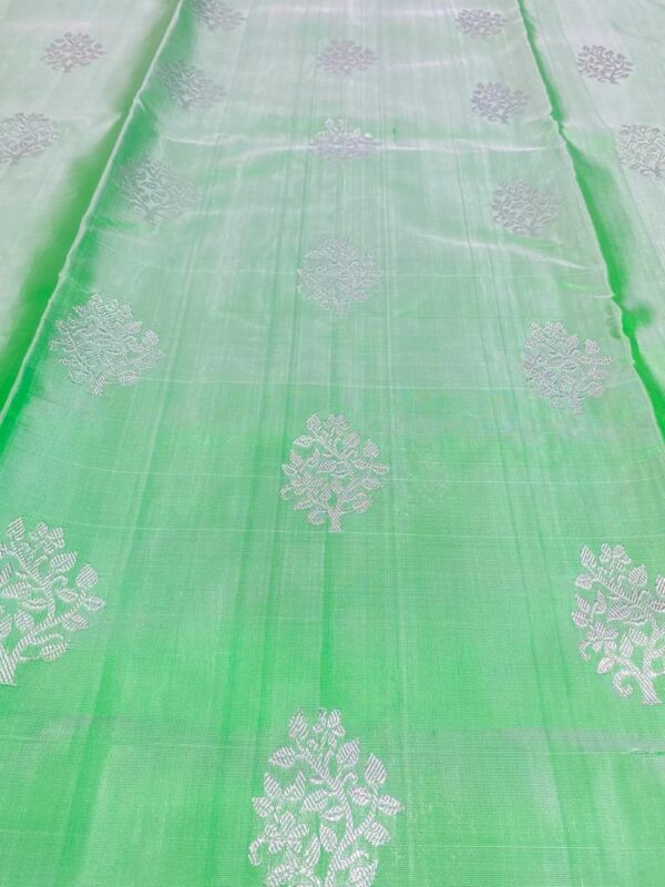Green Venkatagiri Handloom Pattu Silk Saree