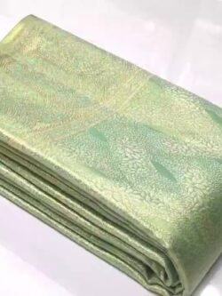 Pastel Green Kanjivaram Handloom Brocade Tissue Silk Saree