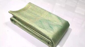 Pastel Green Kanjivaram Handloom Brocade Tissue Silk Saree