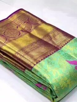 Pastel Green Kanjivaram Handloom Kuttu Meenakari Brocade Silk Saree