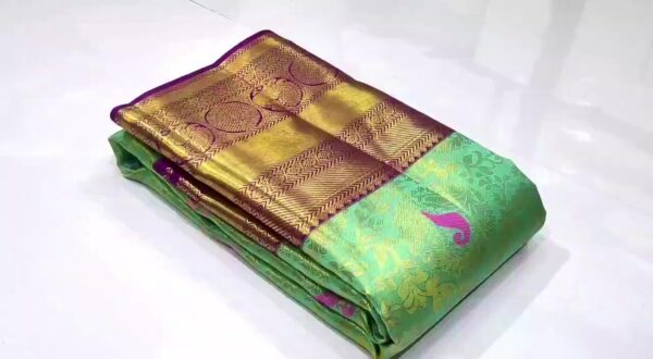 Pastel Green Kanjivaram Handloom Kuttu Meenakari Brocade Silk Saree