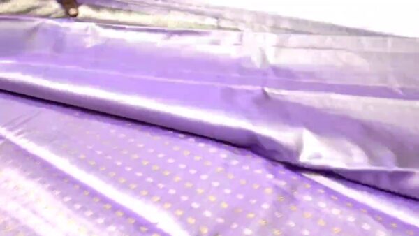 Lavender Kanjivaram Handloom Pure Tissue Silk Saree