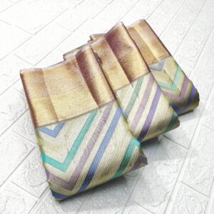 Multi Color Kanjivaram Handloom Tissue Brocade Silk Saree