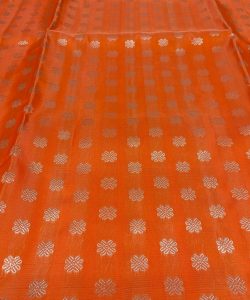 Orange Venkatagiri Handloom Contemporary Pattu Silk Saree