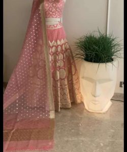 Banarasi Pure Handloom Pure Organza Silk Lehenga Choli Dupatta Sets